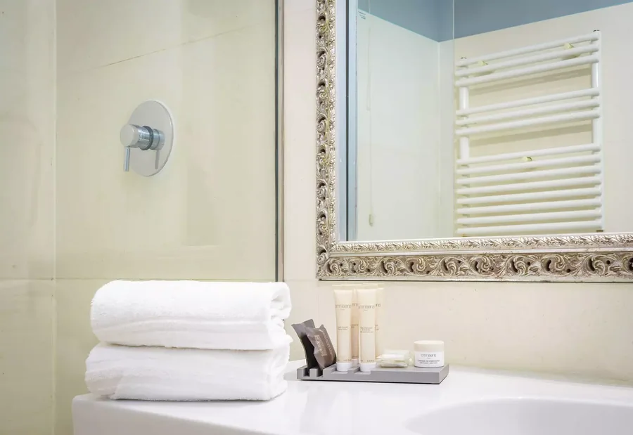 Deluxe — the bathroom